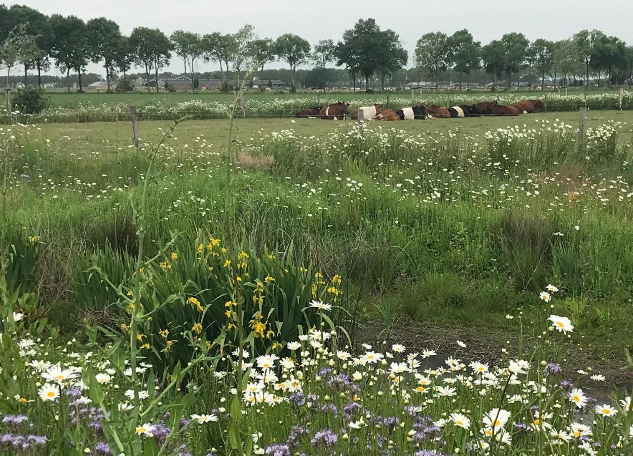 B&B In Ons Straatje Rosmalen Luaran gambar